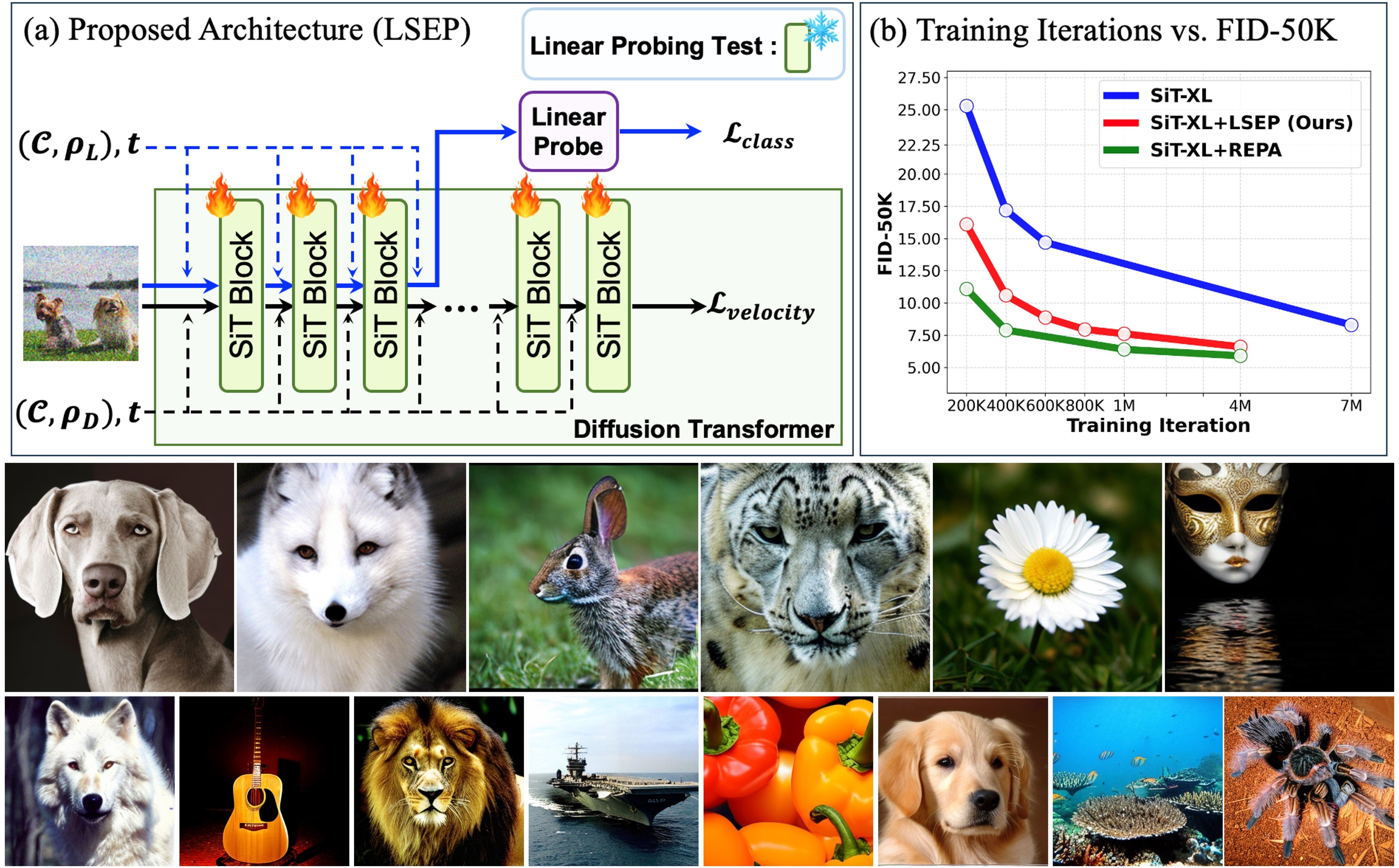No Alignment Needed for Generation: Learning Linearly Separable Representations in Diffusion Models